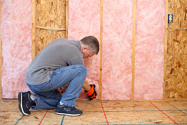 Best Insulation Installation Services in Cave City, KY